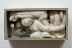 Slave-grown cotton in Greater Manchester museums
