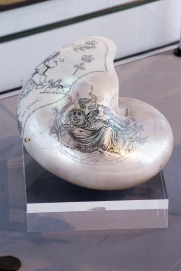 Engraved nautilus shell
